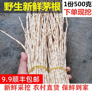 新鲜白茅根广东凉茶竹蔗马蹄茅根水茅根茅草根去皮新鲜顺丰包邮
