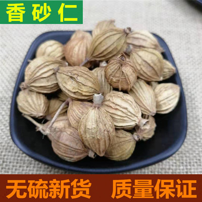 香砂仁沙仁川砂仁阳春砂仁香料大全春沙仁500g包邮川沙仁烧菜卤料