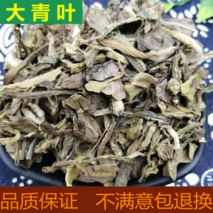 大青叶中药材500g包邮大青叶茶大青叶片板蓝根叶子中草药店铺大全