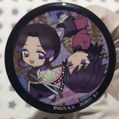 鬼灭之刃蝴蝶忍&富冈义勇周边