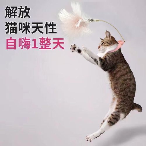 羽毛逗猫棒宠觅逗猫神器