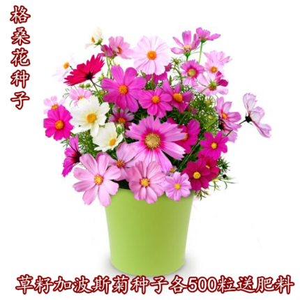 网友分享在meiguo.com的图片