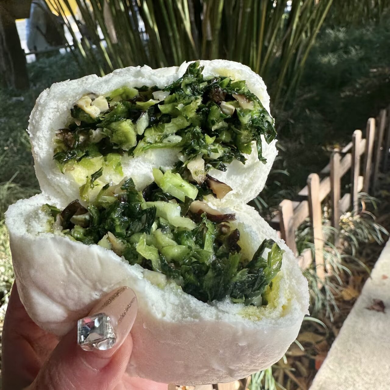 苏州特色西园寺素包子香菇青菜包豆沙包子现做新鲜包子西园寺豆沙