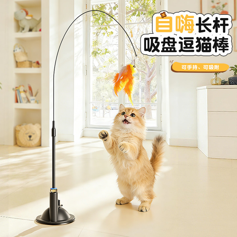 è��߶�è��Сè�����˽���èè�����õ����̳�����è��ë�滻ͷ 1.98Ԫ