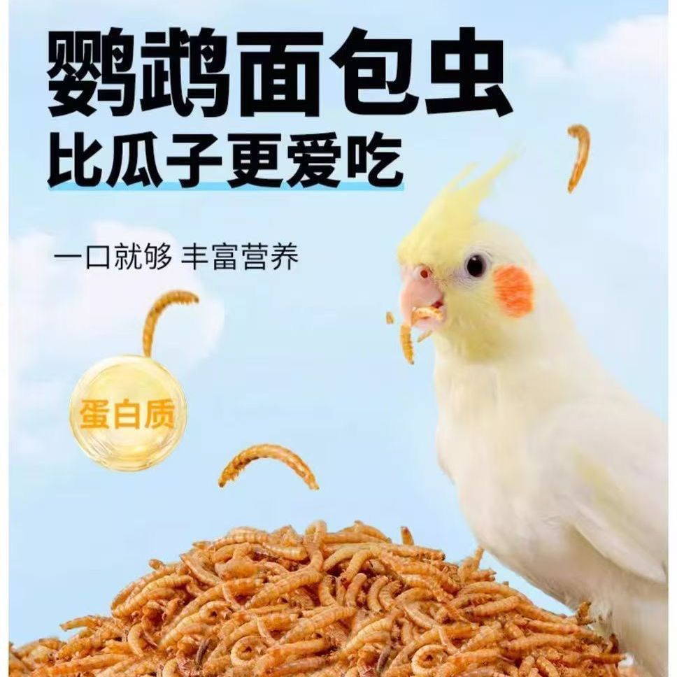 面包虫干鸟食鹦鹉食用虫黄粉虫鸟粮芦丁鸡乌龟仓鼠八哥饲料粮食