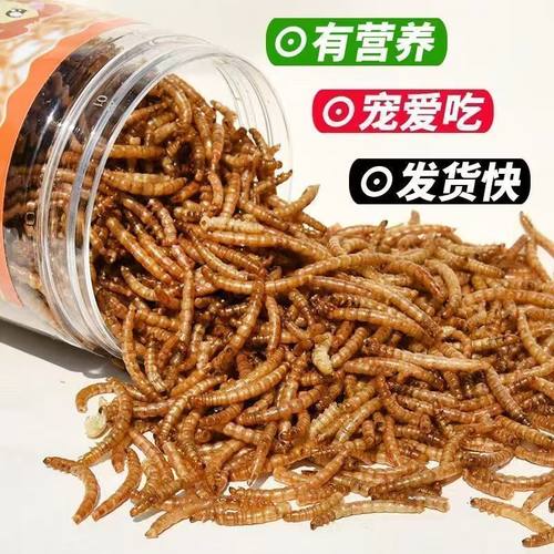 仓鼠零食营养面包虫干增肥提升高蛋白鸟类侏乌龟粮食仓鼠粮黄粉虫