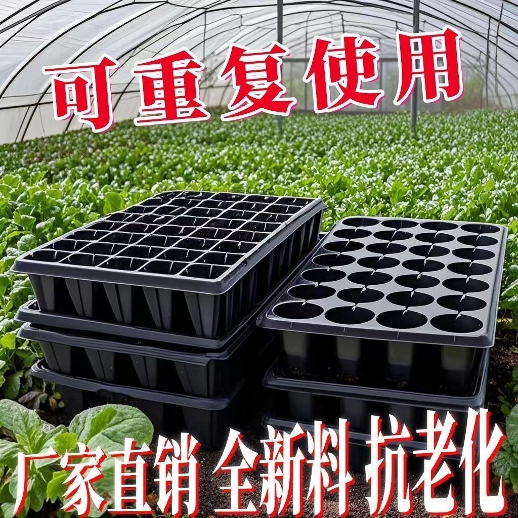 育苗盘蔬菜辣椒多肉扦插盒
