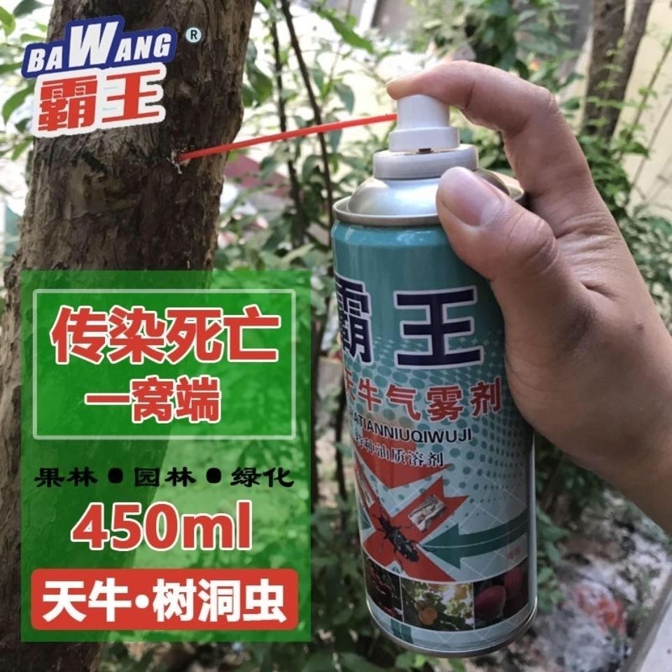 霸王天牛杀虫剂树洞虫杀钻心虫幼虫果树木灭防虫药蛀虫喷剂