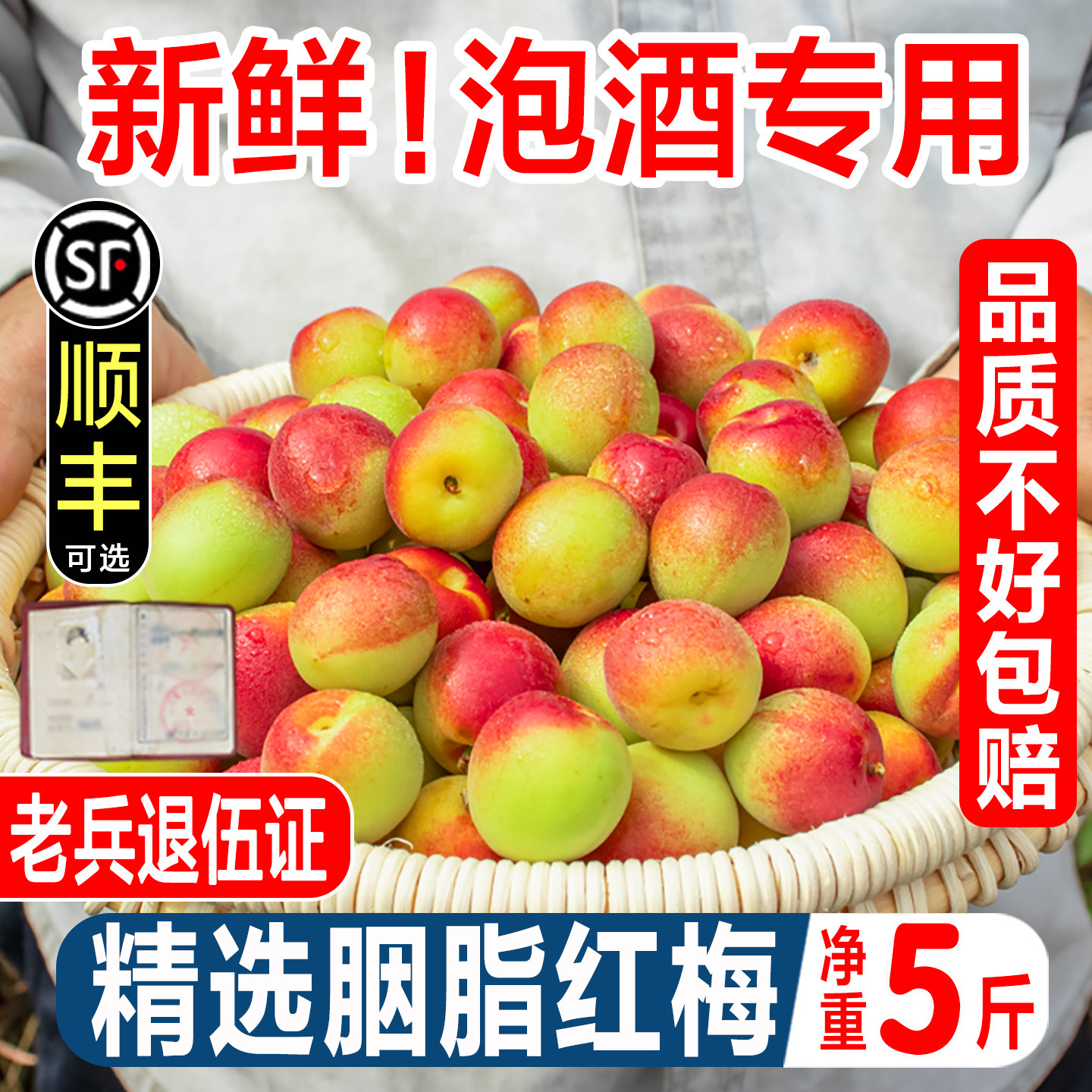 胭脂梅泡酒青梅鲜果诏安现摘红梅新鲜高山野生黄梅酵素生酸脆梅子