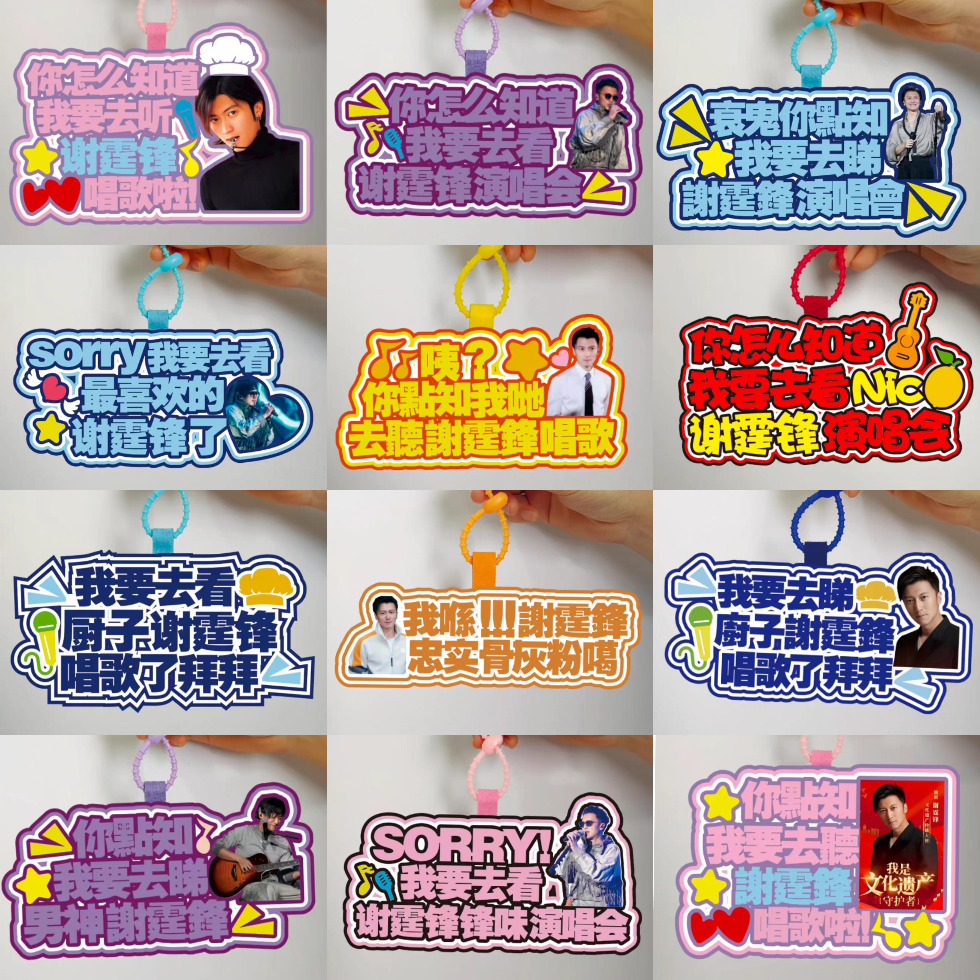 谢霆锋演唱会周边应援物料包包钥匙扣嘴替不织布挂件行李牌