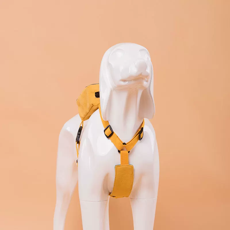 Backpack with leash, school bag to go out