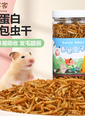 仓鼠高蛋白零食面包虫干