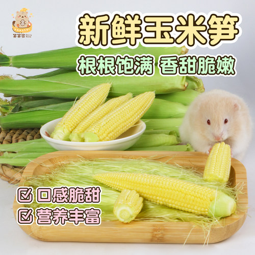 仓鼠零食玉米笋新鲜兔子营养主粮