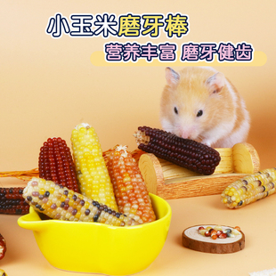 仓鼠磨牙棒小玉米拇指可食用鹦鹉磨牙棒金丝熊解闷磨牙棒迷你玉米