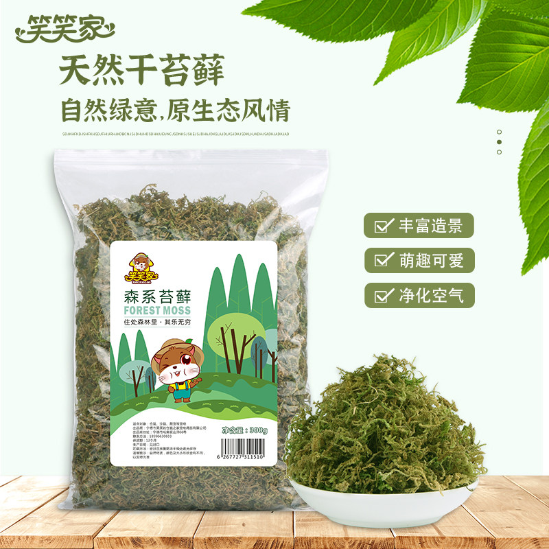 森林干苔藓仓鼠金丝熊笼子装饰品房子窝diy自然造景筑巢垫料用品