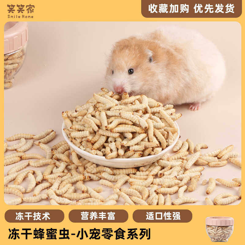 仓鼠零食冻干蜂蜜虫高蛋白营养