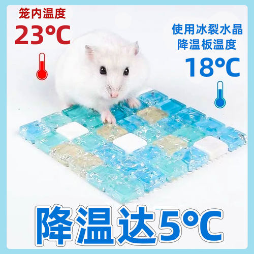 仓鼠夏天消暑降温瓷窝用品板冰垫
