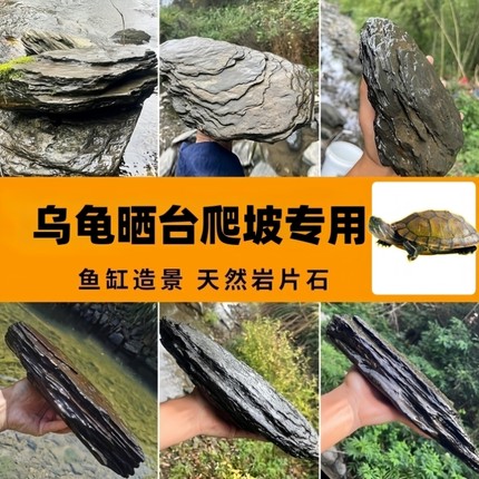 乌龟专用石头晒台养乌龟爬台休息饲养缸生态造景晒背台大块溪流石