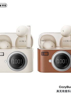 Remax/睿量 v8REMAX睿量复古半入耳式真无线音乐5.4蓝牙通话耳机