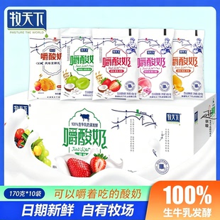 牧天下嚼酸奶新日期五种口味每袋含燕麦椰果嚼酸奶170g*10袋W整箱