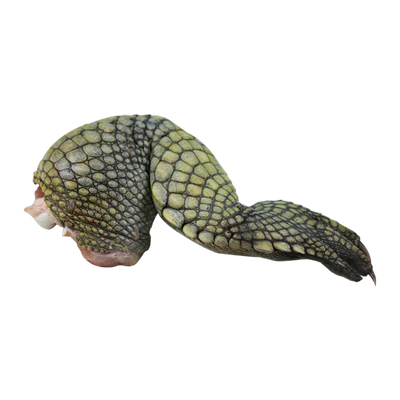 新鲜鳄鱼掌腿肉现杀顺丰包邮