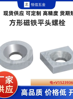 NHXCS8 10 12 15 20 25 30-2 3 4 4.5 5 BLS70 方形磁铁平头螺栓