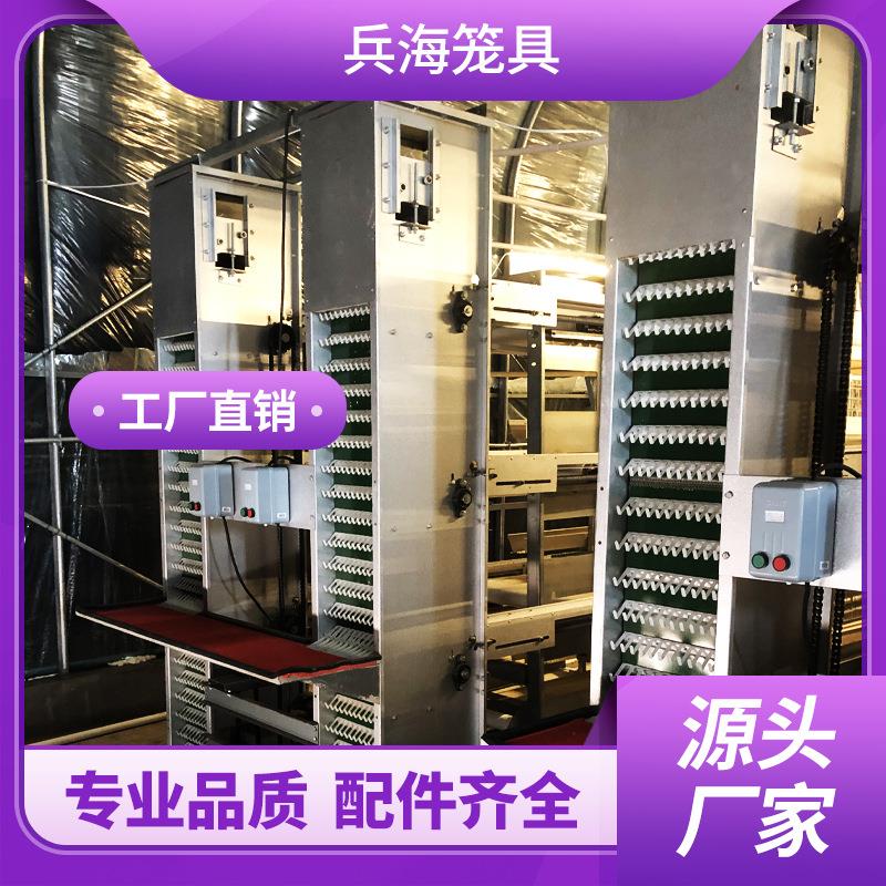 自动捡蛋机养殖场捡蛋机鸡舍捡蛋鸡多层鸡笼适用源头厂家