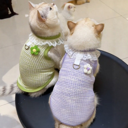猫咪衣服夏天宠物防掉毛薄款背心布偶蓝猫狗狗夏季衣服可牵引服饰