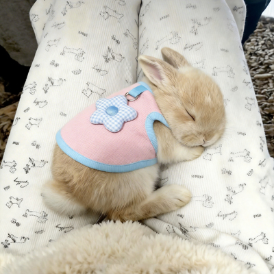 兔子衣服春款小花背心可牵引