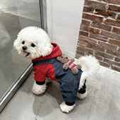 狗狗衣服秋冬小熊变身装 中小型犬泰迪比熊博美冬天保暖加厚四脚衣