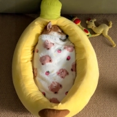 狗窝柴犬柯基香蕉船秋冬保暖猫窝可拆洗宠物中小型犬睡垫猫狗垫子