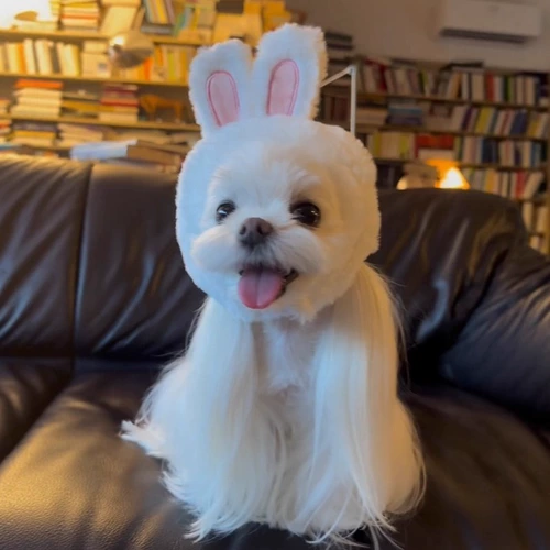 Милая шапка, мультяшный шлем, аксессуар для волос