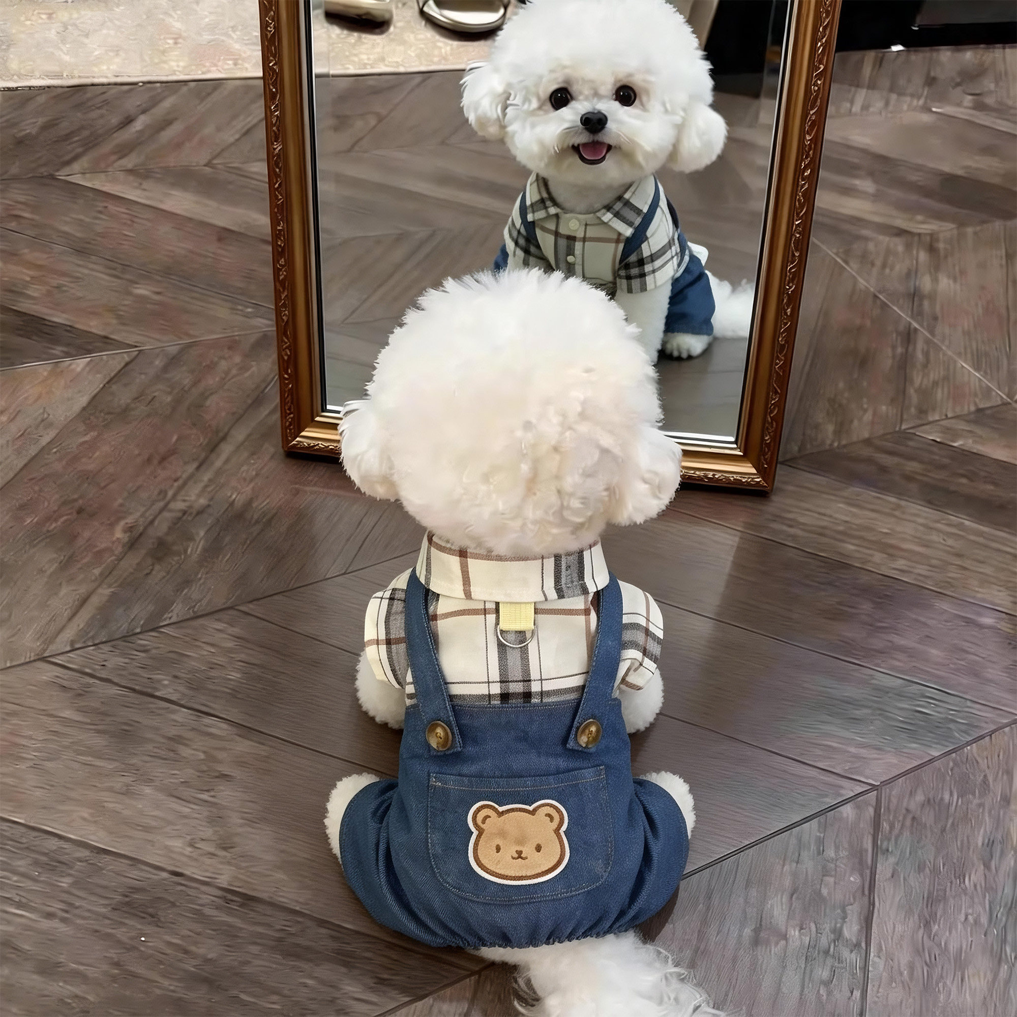 夏季薄款小型犬四脚牵引背带裤图片