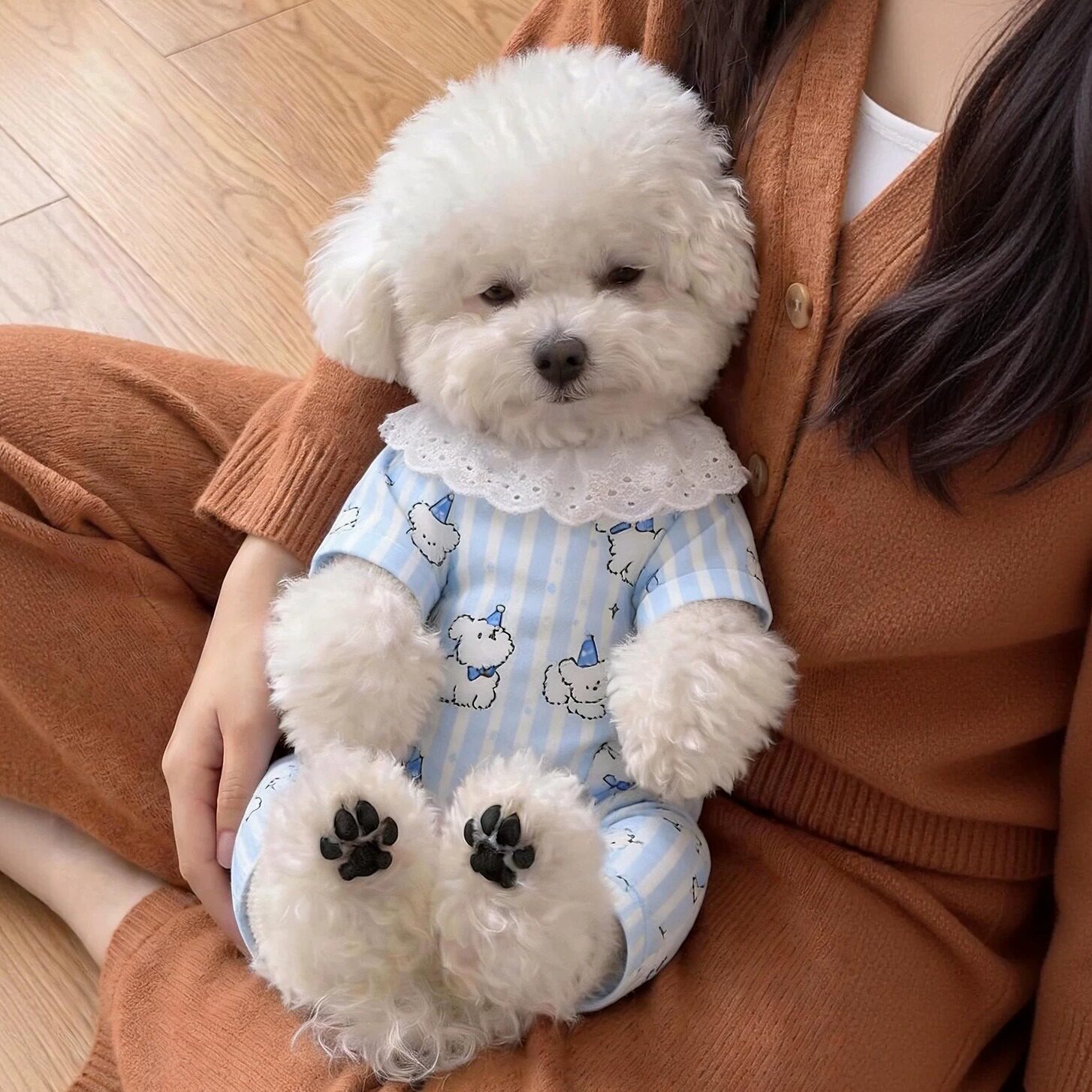 狗狗四脚衣春夏季薄款全棉家居服图片