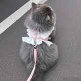 Повод для кошек с маленькими цветами может быть отрегулирован, чтобы собаки не отрывались от грудных ремней для домашней одежды, чтобы ходить по кошке