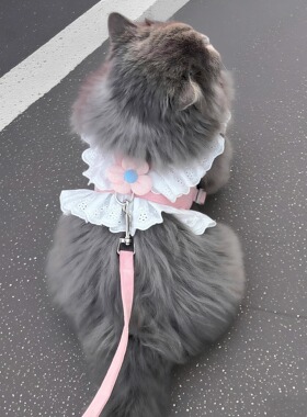 猫咪牵引绳带小花可调节狗狗防挣脱胸背带宠物衣服牵引绳外出遛猫