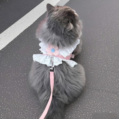 猫咪牵引绳带小花可调节狗狗牵引
