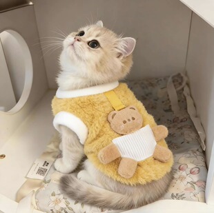 猫咪衣服秋冬可爱玩偶卫衣保暖加绒防掉毛金渐层布偶中小型犬背心