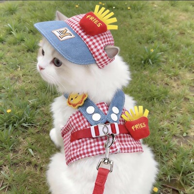 猫咪牵引绳宠物胸背带外出遮阳帽