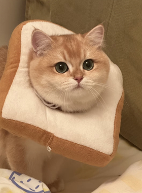 伊丽莎白圈宠物头套猫咪绝育防舔咬吐司面包圈软项圈狗狗防舔神器