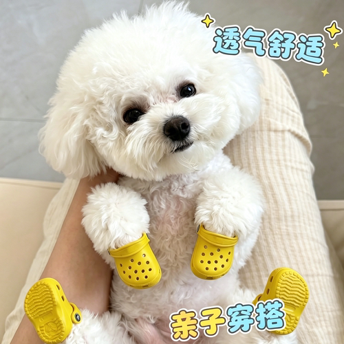 狗猫外出耐磨防滑防脏洞洞鞋