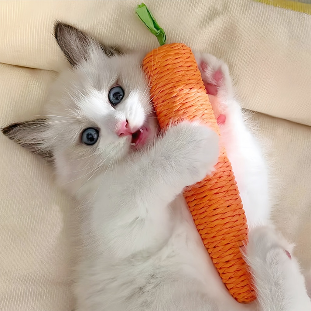 猫玩具磨牙胡萝卜发声解闷木天蓼逗猫棒幼猫布偶宠物自嗨神器用品