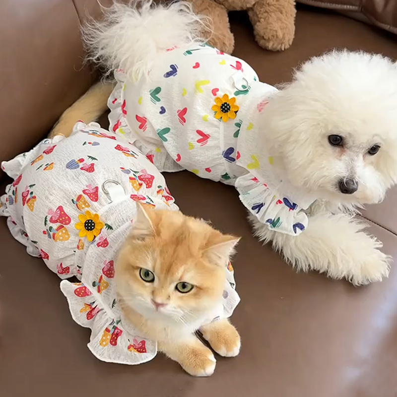 猫咪衣服夏天薄款公主裙狗狗衣服