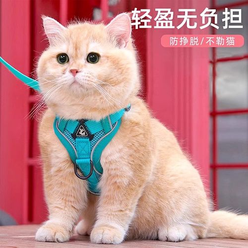 猫咪牵引绳防挣脱外出专用