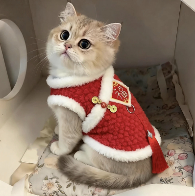 小猫咪衣服冬天新年刺绣福字背心