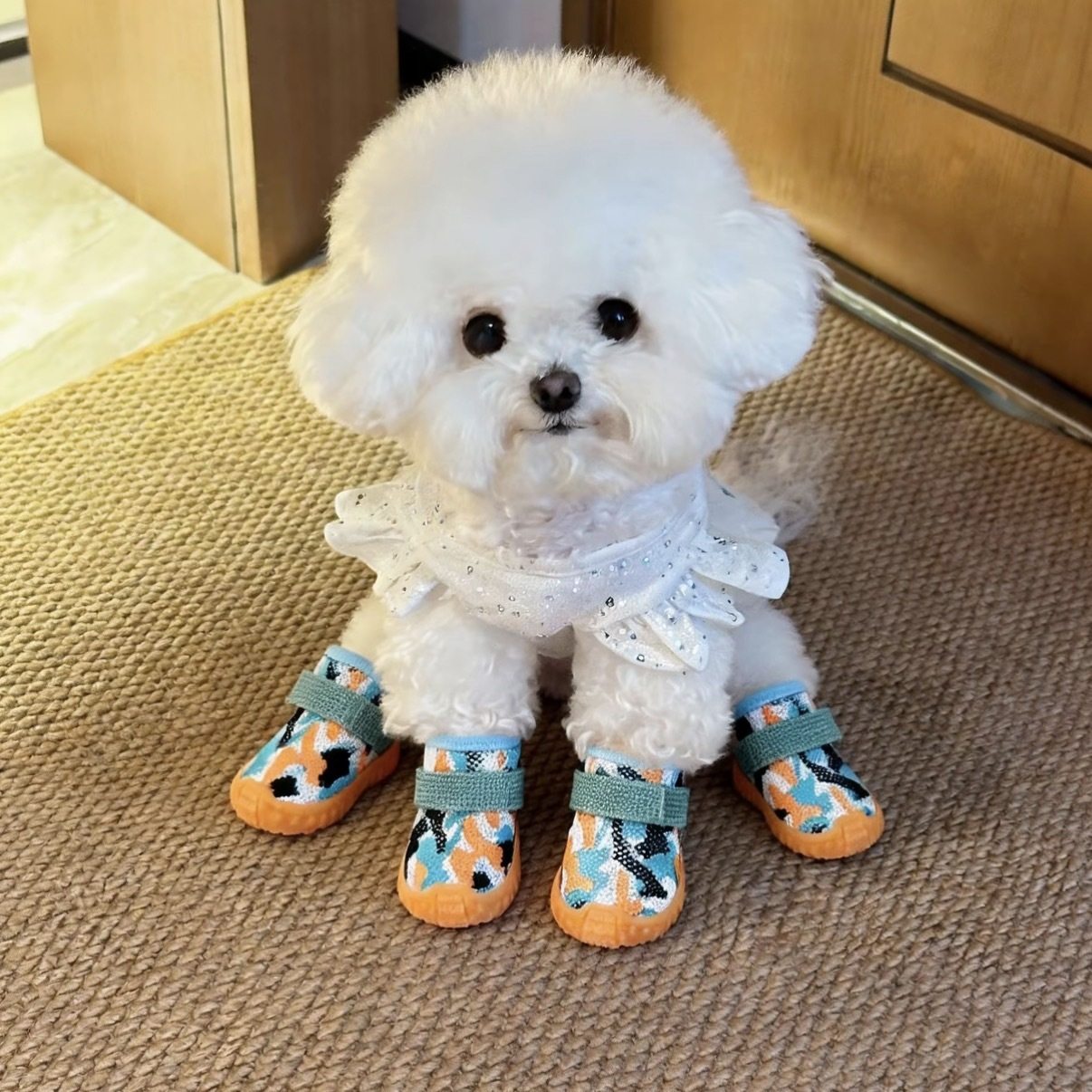 狗狗鞋子透气不掉脚外出防脏脚套