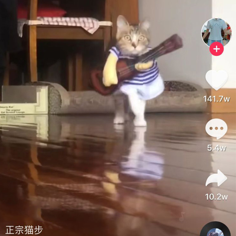 抖音同款正宗猫步猫吉他装猫咪搞怪搞笑装魔性抱吉他扛吉他魔鬼步