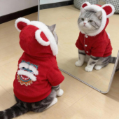 猫咪衣服冬季 保暖棉衣美短布偶橘猫小型犬宠物狗狗加厚可爱两脚衣