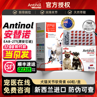 新西兰进口安它诺277安替诺Antinol安适得宠物软骨素鱼油猫狗关节