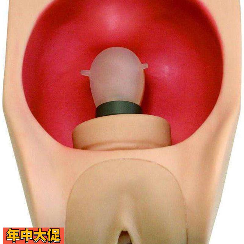 高级女性避孕训练模型女性避孕练习模型计生教育模型